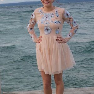 ASOS Blush embroidered mini dress with tulle skirt